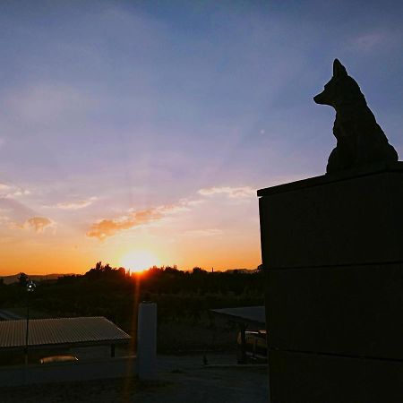 Hotel El Zorro Barranda Екстериор снимка
